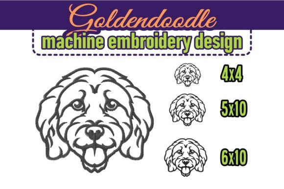 Smiling Goldendoodle Face Portrait Review